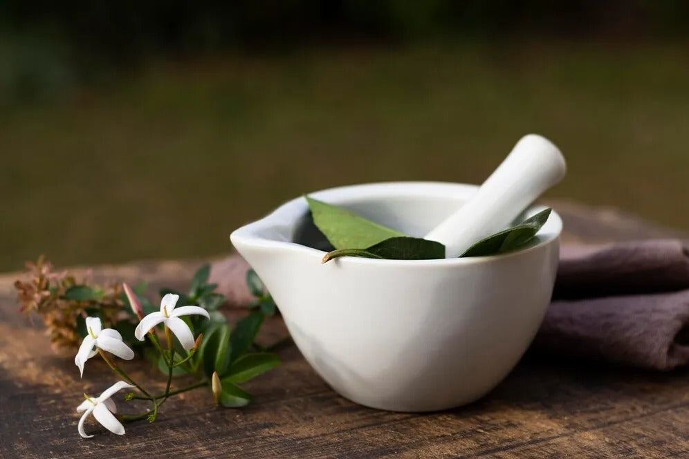 Harnessing Nature: The Healing Power of Herbal Remedies
