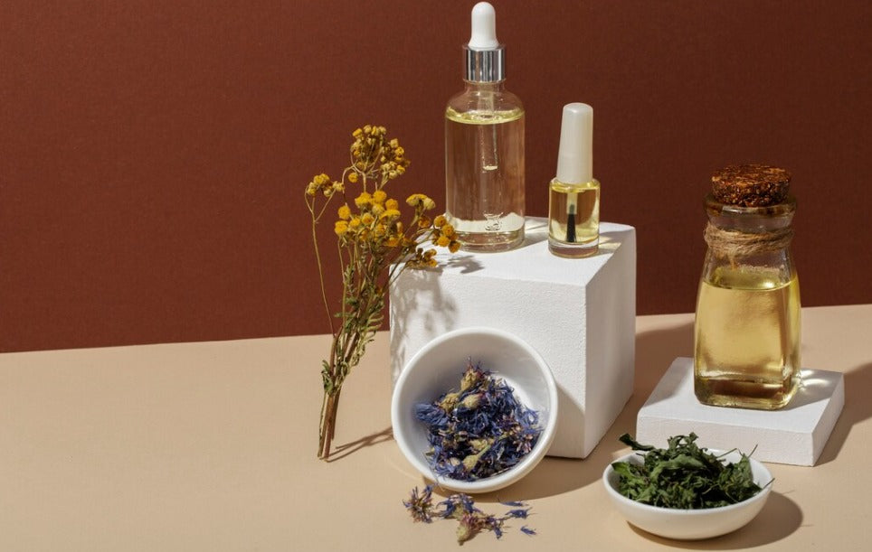 Why Is Natural Wellness Becoming the First Choice for Modern Lifestyles?