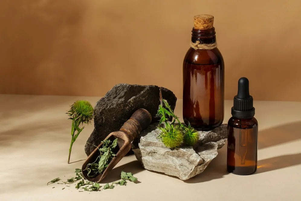 How Can Herbal Supplements and Homeopathy Simplify Wellness in the City?
