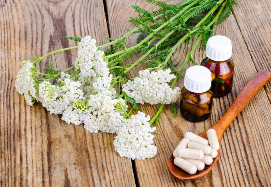 Get A Holistic Approach to Everyday Wellness