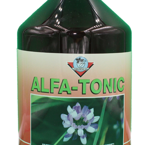 alpha-tonic